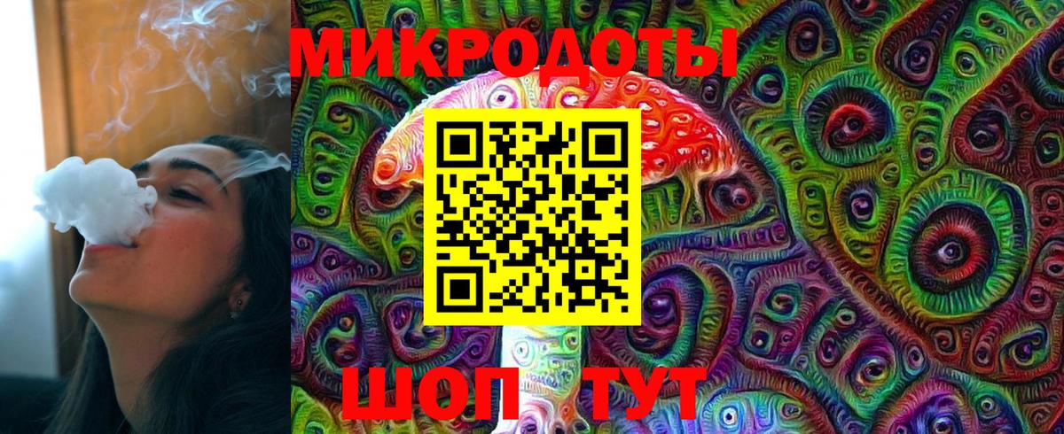Псилоцибиновые грибы Psilocybine cubensis Юрга